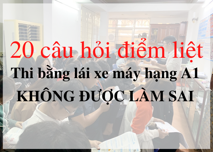 20 câu điểm liệt a1