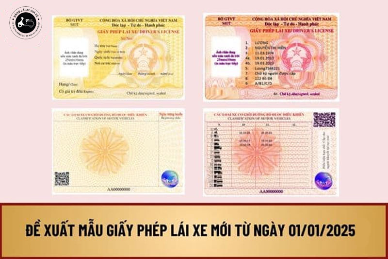 mau-moi-giay-phep-lai-xe-nam-2025-banglaixegiare