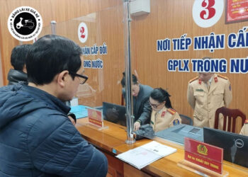 top-25-dia-chi-cap-doi-giay-phep-lai-xe-tai-tp-hcm-nhanh-chong-banglaixegiare